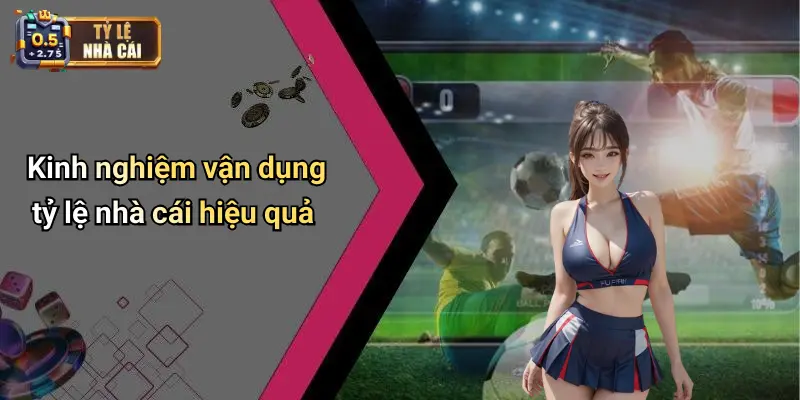 Kinh nghiệm vận dụng tỷ lệ nhà cái hiệu quả