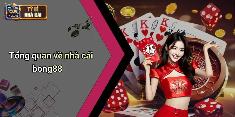 Tổng quan về nhà cái bong88