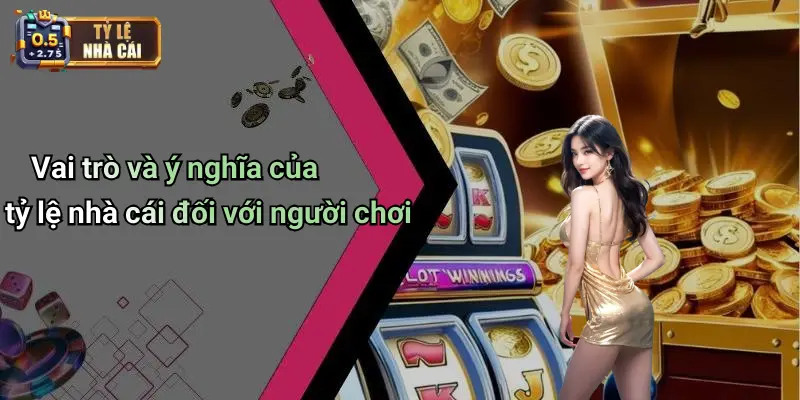 Vai trò và ý nghĩa của tỷ lệ nhà cái đối với người chơi