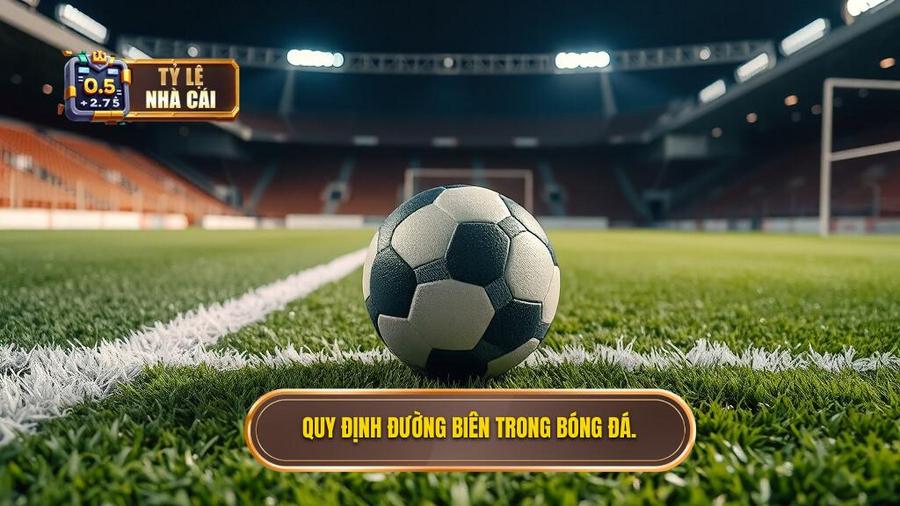 1. Quy định đường biên trong bóng đá.