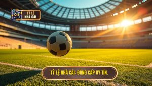 Tỷ Lệ Nhà Cái_ Đẳng cấp uy tín.