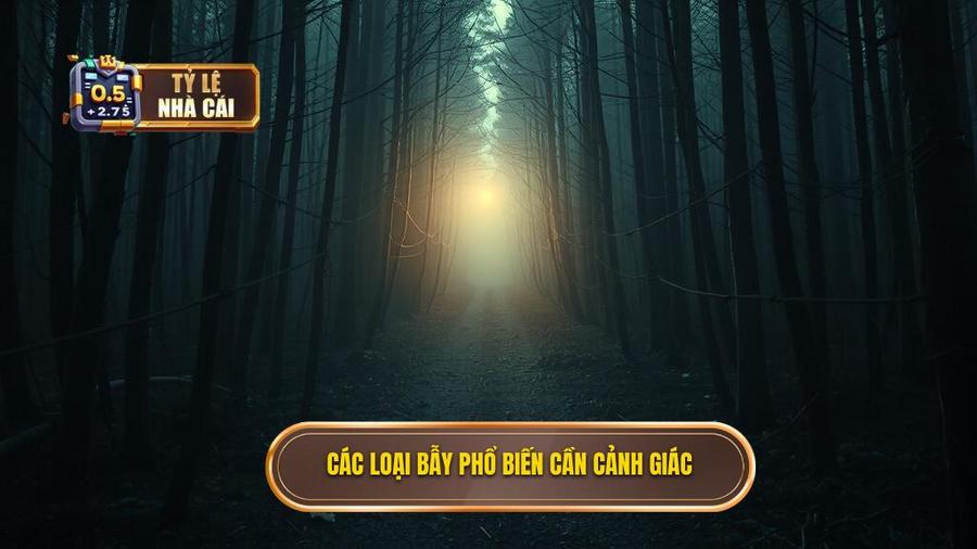 2. Các loại bẫy phổ biến cần cảnh giác