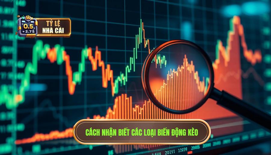 Cách nhận biết các loại biến động kèo