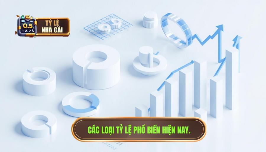 2. Phân tích các loại tỷ lệ phổ biến hiện nay 2. Phân tích các loại tỷ lệ phổ biến hiện nay